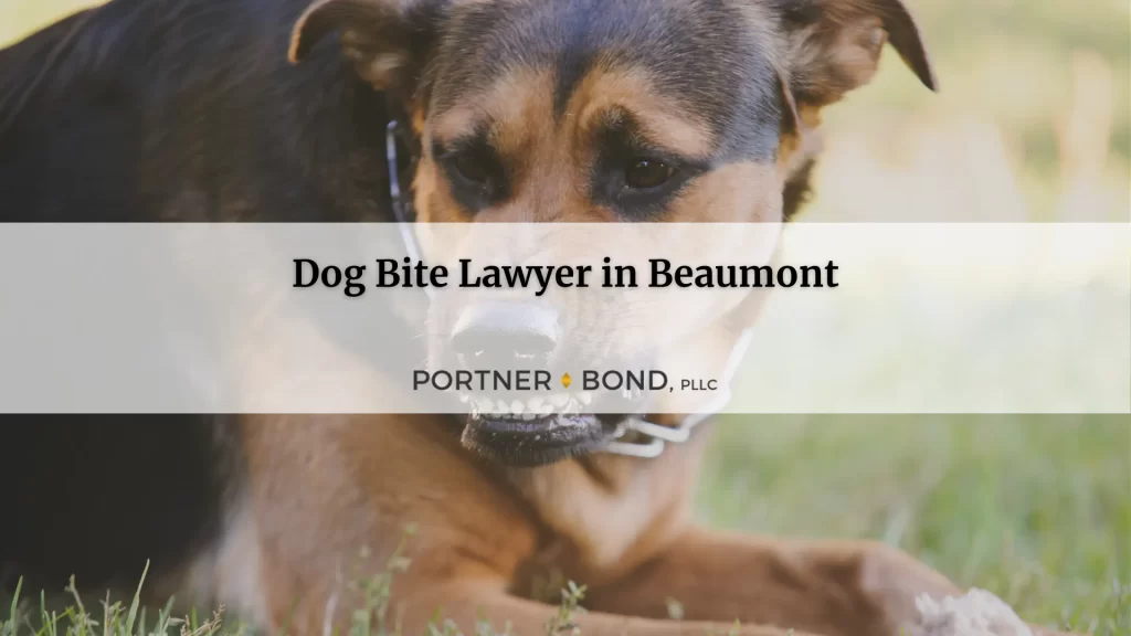 Beaumont Dog Bite Attorneys Portner Bond PLLC